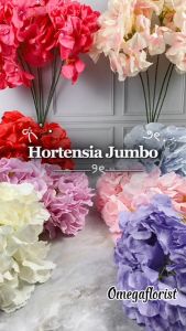 Bunga Hortensia Jumbo & Hydrangea 5 Cabang: Dekorasi dan Penggunaan