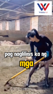 40cm 50cm 60cm Dung Scraper Stainless Steel Cleaning Tool for Farm Barn Livestock Waste Removal Cleaning