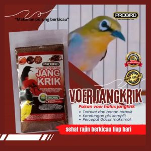 VOER JANGKRIK PROBIRD PAKAN BURUNG HALUS JANGKRIK 100%
