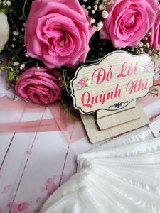 [COMBO 10 QUẦN LÓT NỮ PHỐI HỌA TIẾT TRƠN HỌC SINH (2108) Size 40 - 53 KG MÀU TRẮNG RIÊNG