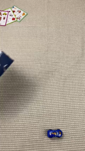 Matras Perlak Bayi Bolak Balik BABY LEON BGS-03-10 Alas Tidur Bayi SP-022-PL Waterproof Alas Ompol Bayi Perlak Tidur Perlak Ompol Perlengkapan Bayi Perlengkapan Tidur Bayi