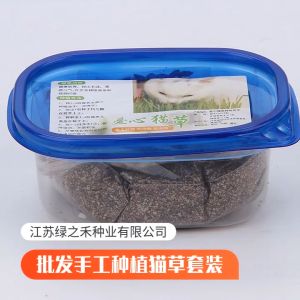 string(69)="หญ้าแมว ข้าวสาลีแมว ต้นข้าวสาลีแมว ปลูกง่าย ออร์แกนิค ข้าวสาลี เสริมสร้างภูมิคุ้มกัน ลดกลิ่นมูลสัตว์เลี้ยง