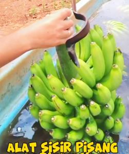 ALAT PENYISIR BUAH PISANG TERBARU TAJAM DARI BESI BAJA ASLI
