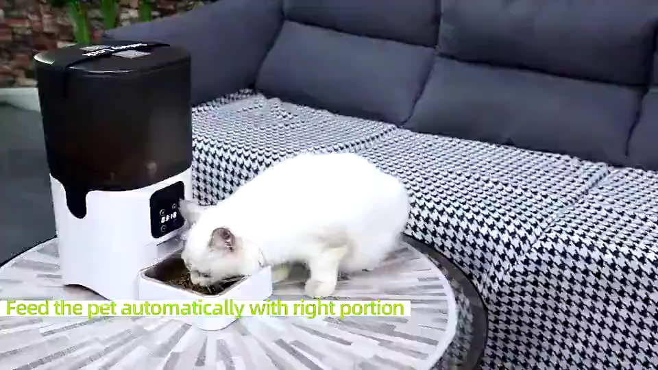 Smart Pet Feeder WiFi APP Camera Automatic Cat Food Dog Food Dispenser Smart Cat Dog Pet Dry Food Bowl
