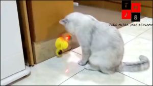 Mainan Hewan Peliharaan Kucing Windmill Gigitan Interaktif Otomatis Toy Cat Ball Teeth