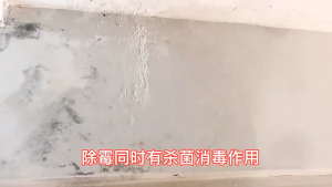 Semprotan Penghilang Jamur Dinding 500ML Pembersih Kulat & Noda Dinding Cepat Atasi Jamur pada Dinding Putih & Kabinet