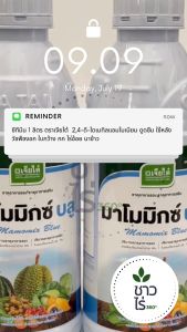 [ยกลังสุดคุ้ม] มาโมมิกซ์ บลู 1 ลิตร X 12 ขวด  ตราเจียไต๋ แคลเซียม+โบรอน สมบูรณ์แข็งแรง เนื้อแน่น รสชาติดี ไส้ไม่ซึมฟ่าม สีผลสม่ำเสมอ ขั้วเหนียว ป้องกันผลแตกและร่วง ผสมเกสรติดผลดี จึ พืชผักให้ห่อหัวได้แน่น น้ำหนักมาก ป้องกันอาการไส้กลวงดำ