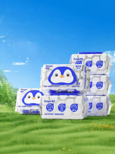 Deeyeo | For Women Wet Toilet Paper