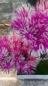 EFPT27 Pot Tanaman Hias Bunga Hias Plastik Ornamen Pot Bonsai Artificial Flower Decoration