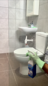 DESANS Bathroom Cleaner Spray – Powerful Toilet Tiles Glass & Floor Stain Remover