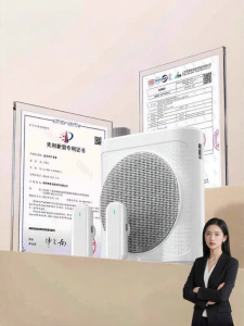 HUABAO | Wireless Beetle-Shaped Large Volume Magnetic Microphone Amplifier