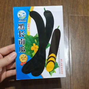 Hạt giống bí đỏ vỏ xanh bí ngô dài vỏ xanh hàng nội địa Trung nhập khẩu -YẾN LIÊN SHOP