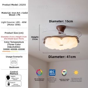 FANCY LAMP CLUB | Eye-Protection Ceiling Fan Light