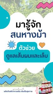 ของ ผมสำหรับผู้มีปัญหาในร่วง หรือที่หยุดการหงอก ๆ ผมนำสารสกัดมากถึง 12 ชนิด วิตามินผม ซึ่งเป็นสารสีสกรี่ที่ทำให้ผมร่วง ผมหงอก ผมบาง และสุขภาพดี เป็นภายใ