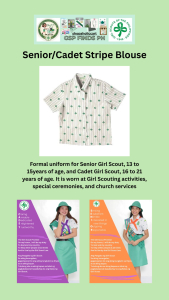 Original Girl Scout of the Philippines Cadet Blouse Stripe