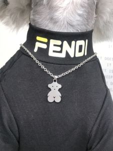 สร้อยคอสุนัขและแมวแบบทันสมัยพร้อมจี้บัตรประจำตัว โซ่ตกแต่งเครื่องประดับสำหรับสุนัขและแมวขนาดเล็ก เครื่องประดับติดรัดแบบพกพาที่ทนทาน