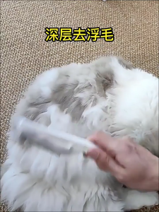 🐾 Pet Hair Flea Removal Grooming Comb for Cats and Dogs