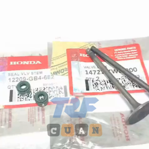 PAYUNG KLEP SET VALVE SET EX IN BLADE BEAT FI REVO ABSOLUTE ABS Seal Klep Sil 2 per blade 110 lama