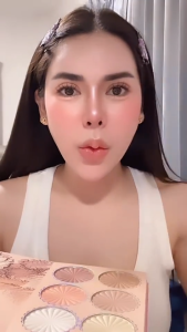 แผ่นอายแชโดว์ 43 สี ชิมเมอร์ และ แมตต์ มัลติฟังก์ชั่น พาเลทแต่งหน้าสำหรับหนังสือ รวมการช่อมแชมไฮไลท์บลัชออนและคอนซีลเลอร์ การออกแบบรวมกัน