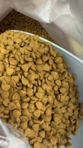 Makanan Kucing Premium Kibbles 1kg Direct Dari Kilang Cat Food Like Simba Chicken Tuna Milk 猫粮