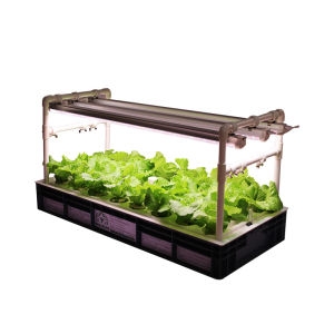 ZHUOLESHI | Smart Soil-less Hydroponic Gardening Machine
