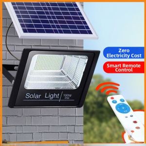 ZHUOLESHI | Solar Motion Sensing Flood Light