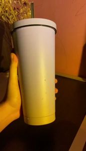 【K-Home】Macaron BPA Free 304 Stainless Steel Tumbler Cup Travel Double Vacuum Anti-Leak Coffee Mug w/ Straw Drinking Cup