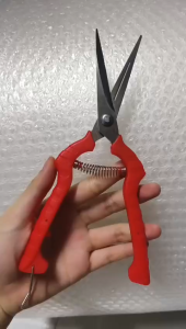 Kéo cắt tỉa cành hoa cán nhựa đỏ dài 20.5cm.