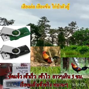 เสียงต่อไก่ป่าตัวผู้ เสียงขันไก่ป่าตัวผู้ เสียงขันยาวๆ เข้าเร็ว เข้าไว หมานๆ