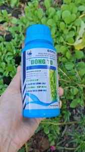 [VTNN TIEN KHOA] Cặp phân bón ĐÒNG TO BÔNG KẸO HITACO giúp dài bông xanh lá to đòng lúa nếp