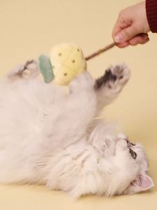 Doge&Orange พร้อมส่ง อมยิ้มหญ้าแมว Catnip ของเล่นแมว มีกรุ๊งกริ๊ง ตุ๊กตากัญชาแมว ของเล่นยัดไส้ กัญชาแมว ลายผลไม้ COD MIP85