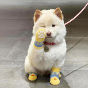 Petone dOrage | Non-slip Dirt-resistant Socks for Dogs and Cats