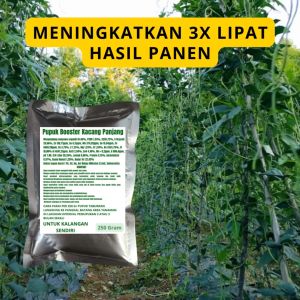 Pupuk Booster Kacang Panjang / Obat Booster Kacang Panjang / Pupuk Booster Kacang Panjang