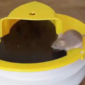 Quick Effective Automatic Mouse Trap Slide Bucket Lid Mouse Rat Trap Reusable Perangkap Tikus Flip Rat Bucket
