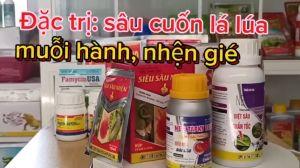 newtapky 10ec: diệt trừ sâu cuốn lá lúa nhện gié và muỗi hành