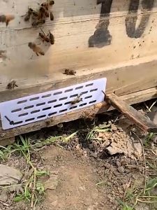 10pcs Sekat Ratu Lebah Apis Cerana / Queen Excluder