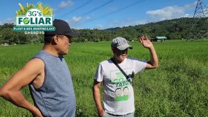 3Gs FOLIAR – SOIL AND PLANT BIOSTIMULANT ALL IN ONE SUPER FOLIAR BIO ORGANIC LIQUID FERTILIZER - RED CAP