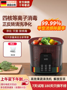 Automatic Home Vegetable Fruits Washer Plasma Detox Machine Food Grade ABS Material Large Capacity 220V Kitchen Appliance