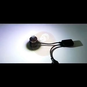 [Đèn LED 360 độ] [30W] [6000K] [H1 H3 H7 H8/H11/H16 HB3/HB4 HIR2/9012 D1/D2/D3/D4 D2H] dành cho ô tô xe máy