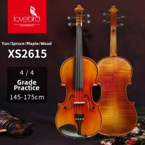 Lovebird | Examination Use Solid Wood Handmade Violin for Beginners & Professionals