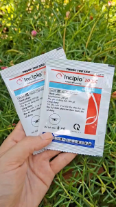 [THIEN THINH SHOP] INCIPIO 200SC Syngenta gói 8ml trừ sâu cuốn lá sâu đục thân diệt sạch sâu lưu dẫn kéo dài