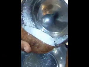 （COD） HOYOMA Coconut Grater Machine Set Pangkayod Niyog HT-CGS12 100% ORIGINAL / AUTHENTIC •BUILDMATE• HYMPT