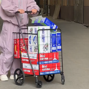 98L Foldable Grocery Shopping Cart Heavy Duty Trolley with Rear Basket Large Utility Trolley 360° Wheels