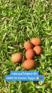 (แพ็ค 20/50/100 ชิ้น) กล่องแม่ไก่กกไข่ กล่องเอนกประสงค์ กระดาษการ์ดแข็ง สีสดใส กล่องของชำร่วย ใส่ของชิ้นเล็ก ใส่ไข่ไก่ ใส่สินค้าบรรจุภัณฑ์