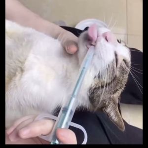 เครื่องจ่ายยาสัตว์เลี้ยง หัวซิลิโคนอ่อนนุ่ม 2 สำหรับยาและเม็ด 2 หน้า สวยงาม ราคาเสนอ