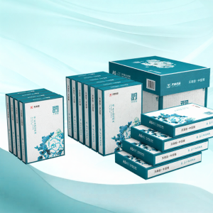 XINLUTIANZHANG | Accounting Voucher Hospital Prescription Outgoing Slip Draft A5 Printing Copy Paper 70g