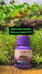 Obat Pelangsing Kurus Badan Cepat Dan Ampuh Jamu Kapsul Diet Sulem Susut Lemak Peluntur Perut Buncit