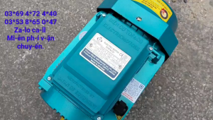Mô tơ động cơ 1 pha Toàn Phát 3500w 1400 vòng phút