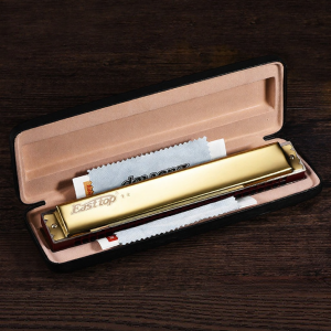 Chromatic Adult Beginner C Key Harmonica