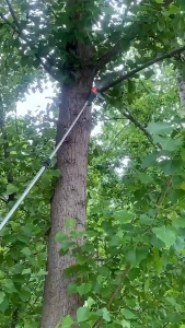 ต้นฉบับนำเข้าจากเยอรมัน เลื่อยยืดไสลด์สาขาสูง เลื่อยตัดกิ่งไม้SKU5เลื่อยตัดกิ่งไม้สูงขยายความปรับได้ 1-10มเครื่องมือตัดแต่งกิ่งพืชเลื่อยโค้งตัดกิ่งไม้ กรรไกรตัดกิ่งไม้สูง เลื่อยพับ เลื่อยพับได้ เลื่อยหางหนู เลื่อยตัดกิ่ง เลื่อยไม้ มีระบบเซฟตี้ ไม่เป็นสนิม